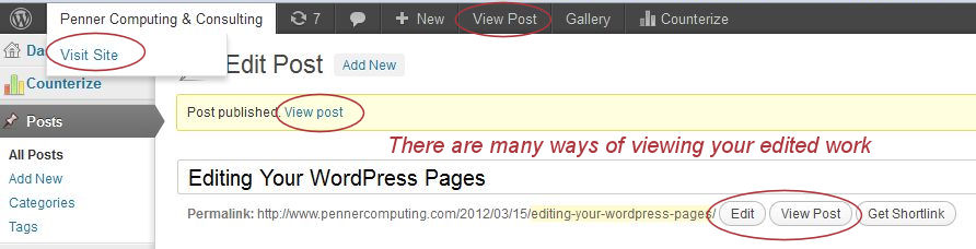 WordPress - Checking your edited work.